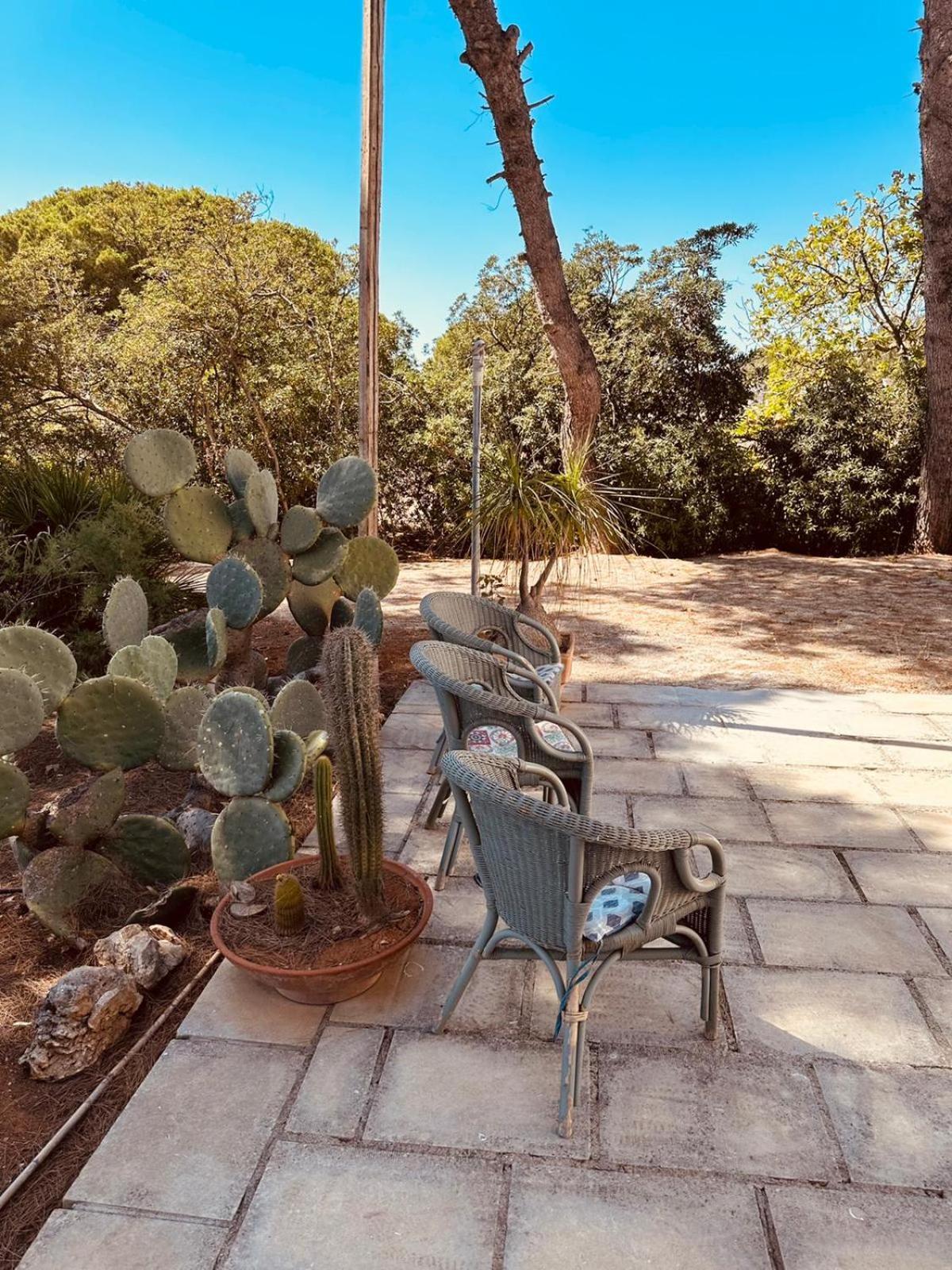Casa Vacanze Capurre "Trulli E Pajare A Due Passi Dal Pizzo" กัลลีโปลี ภายนอก รูปภาพ